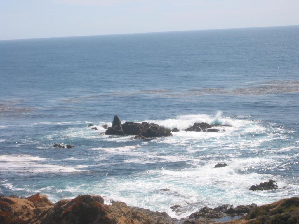 2004/06 June/Monterey Big Sur/1024x768_IMG_0880.JPG